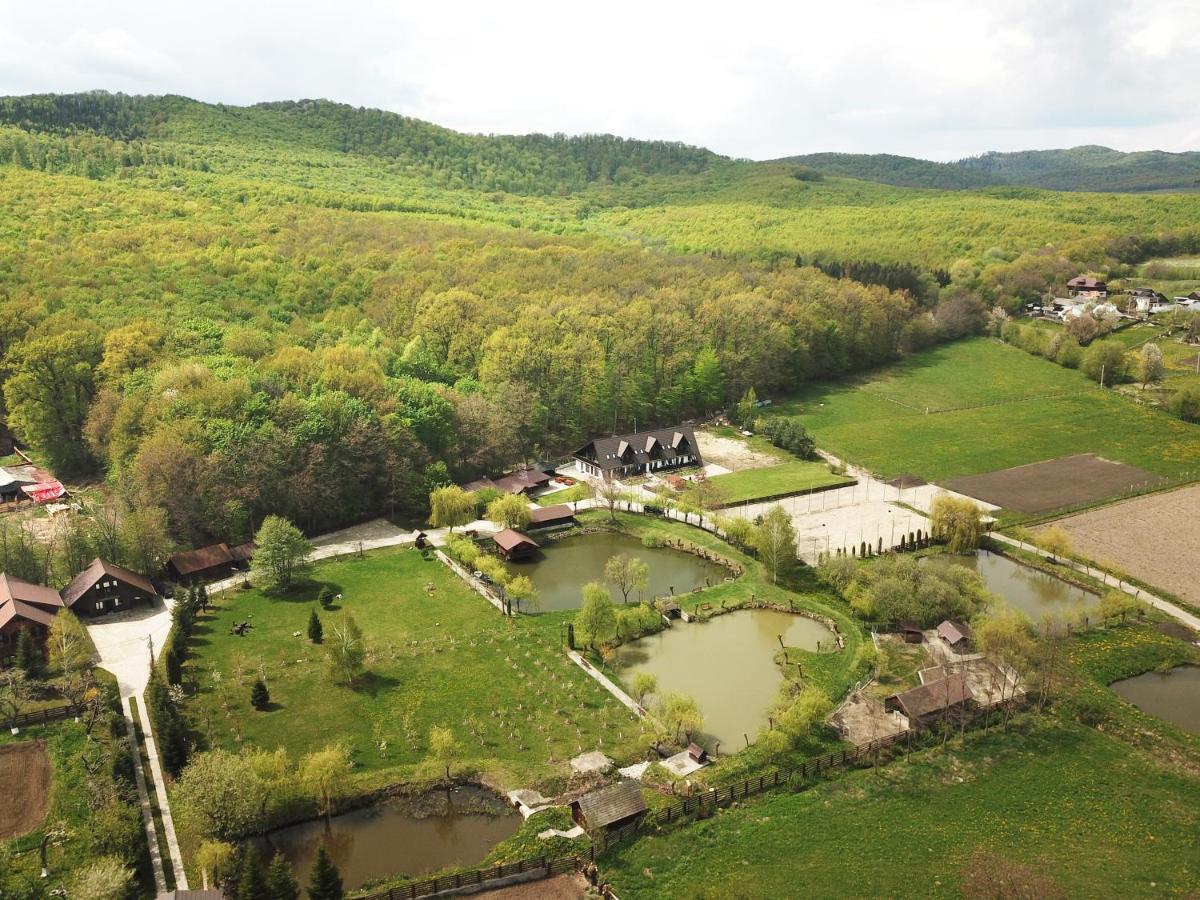 Cabana Paradisul Verde Neamt Targu Neamt ภายนอก รูปภาพ